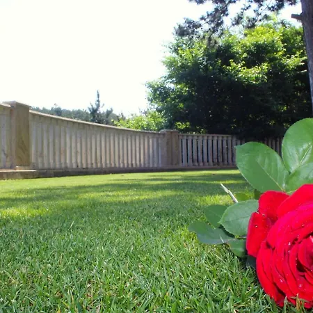 Garden 3*